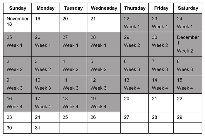 Calendar illustrating a work schedule